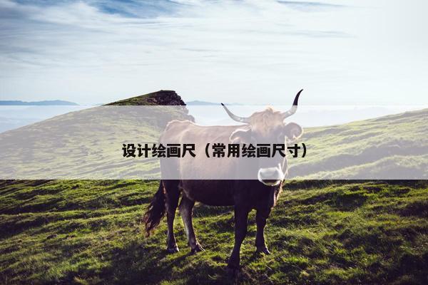 设计绘画尺（常用绘画尺寸）