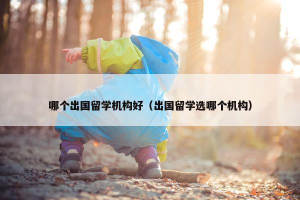 哪个出国留学机构好（出国留学选哪个机构）