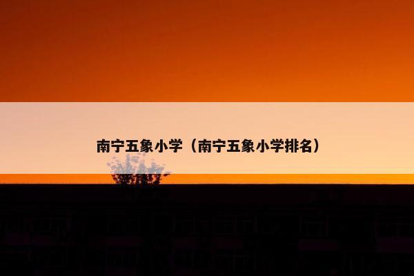 南宁五象小学（南宁五象小学排名）