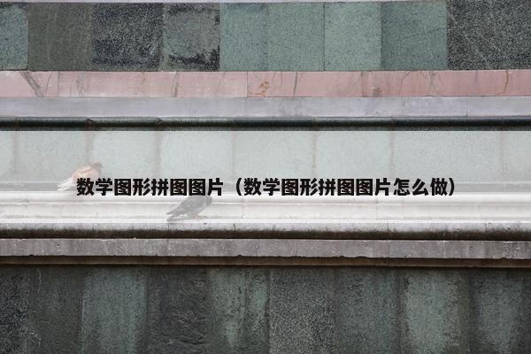 数学图形拼图图片（数学图形拼图图片怎么做）