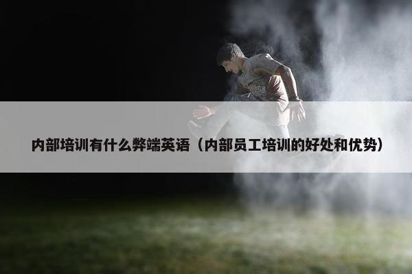 内部培训有什么弊端英语（内部员工培训的好处和优势）