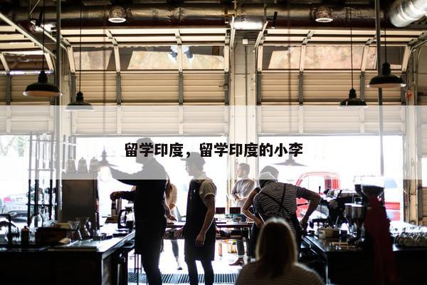 留学印度，留学印度的小李