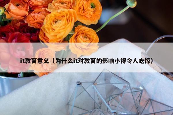 it教育意义（为什么it对教育的影响小得令人吃惊）