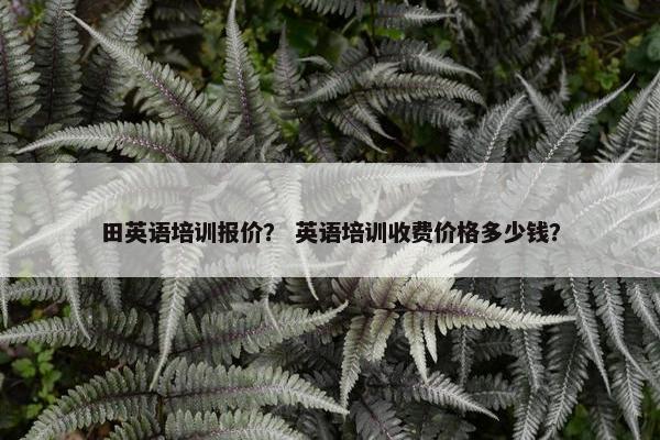 田英语培训报价？ 英语培训收费价格多少钱？