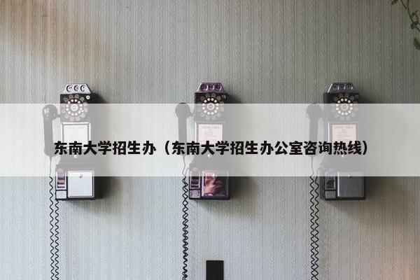 东南大学招生办（东南大学招生办公室咨询热线）