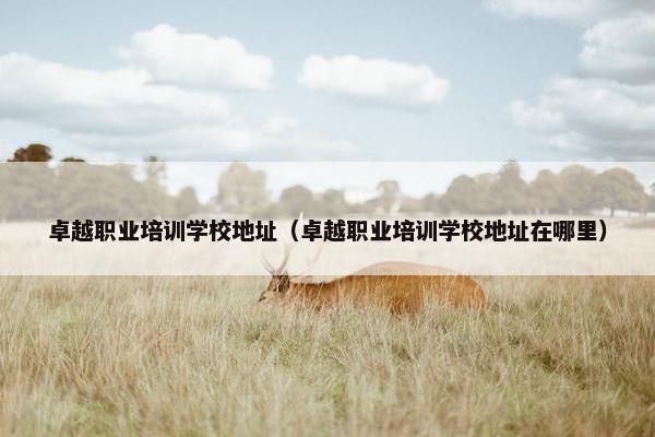 卓越职业培训学校地址（卓越职业培训学校地址在哪里）