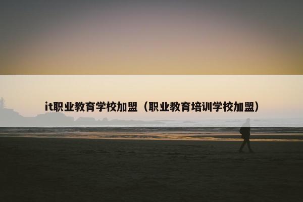 it职业教育学校加盟（职业教育培训学校加盟）