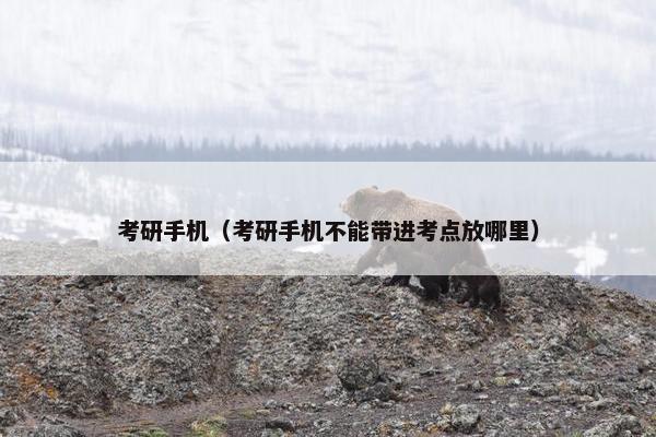 考研手机（考研手机不能带进考点放哪里）