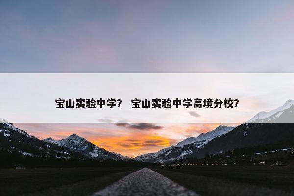 宝山实验中学？ 宝山实验中学高境分校？