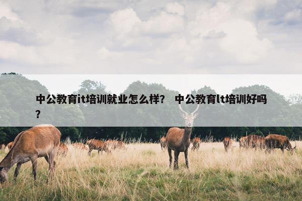中公教育it培训就业怎么样？ 中公教育lt培训好吗？