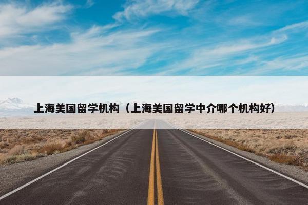 上海美国留学机构（上海美国留学中介哪个机构好）