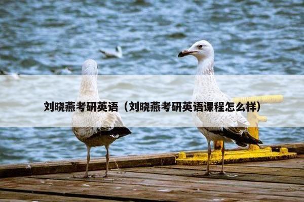 刘晓燕考研英语（刘晓燕考研英语课程怎么样）