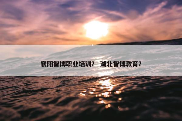 襄阳智博职业培训？ 湖北智博教育？