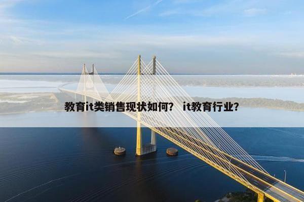教育it类销售现状如何？ it教育行业？