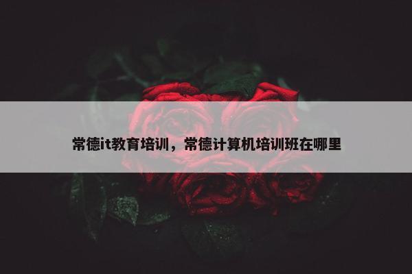 常德it教育培训，常德计算机培训班在哪里