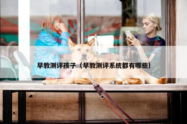 早教测评孩子（早教测评系统都有哪些）