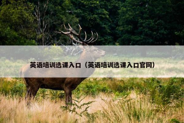 英语培训选课入口（英语培训选课入口官网）