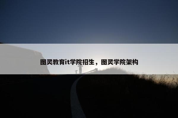 图灵教育it学院招生，图灵学院架构