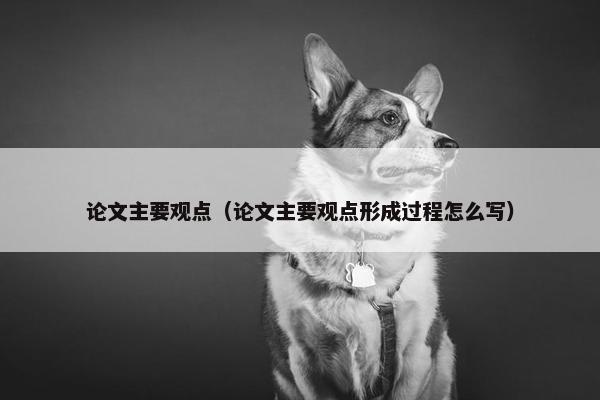 论文主要观点（论文主要观点形成过程怎么写）