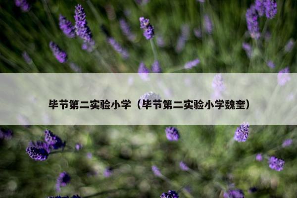 毕节第二实验小学（毕节第二实验小学魏奎）