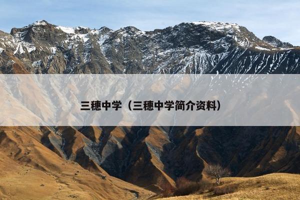 三穗中学（三穗中学简介资料）
