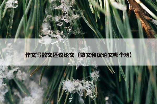 作文写散文还议论文（散文和议论文哪个难）