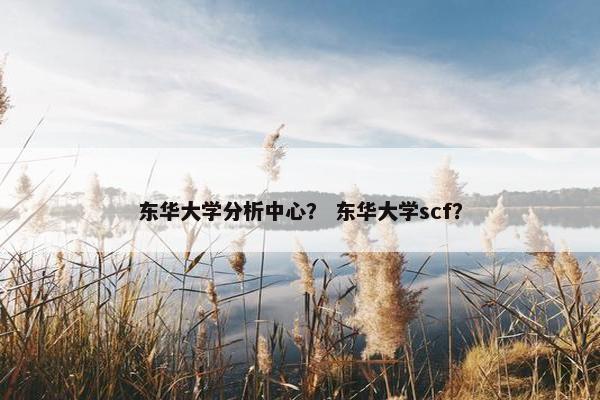东华大学分析中心？ 东华大学scf？