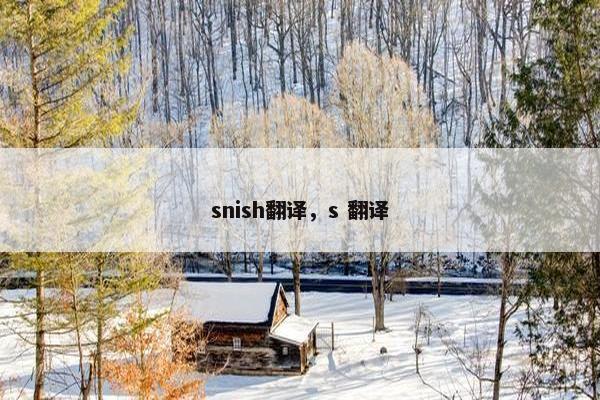 snish翻译，s 翻译