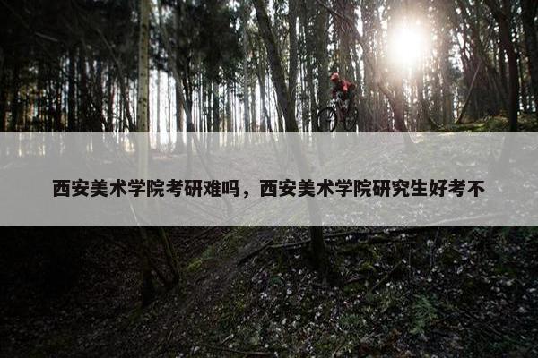 西安美术学院考研难吗，西安美术学院研究生好考不