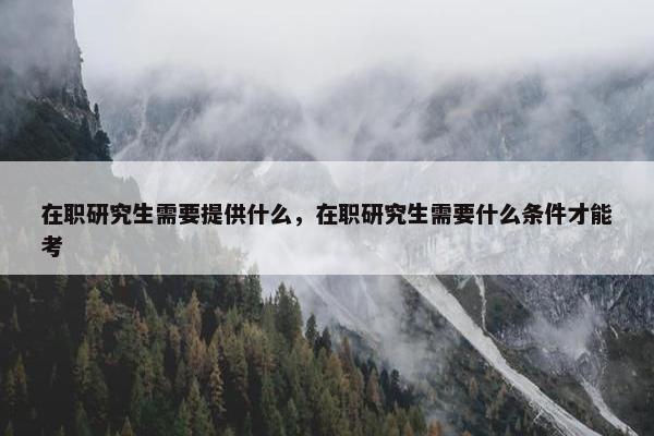在职研究生需要提供什么，在职研究生需要什么条件才能考