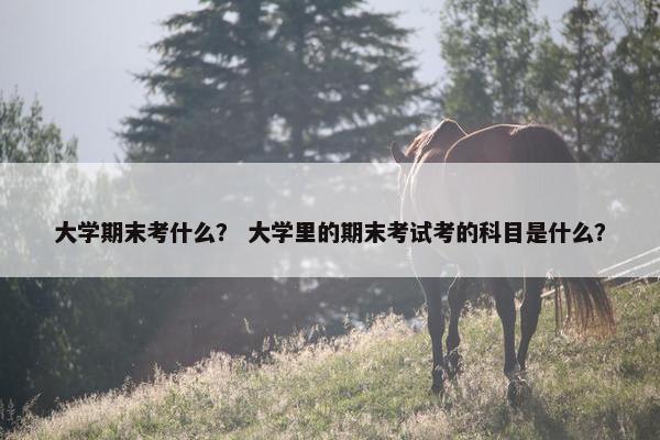 大学期末考什么？ 大学里的期末考试考的科目是什么？