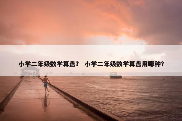 小学二年级数学算盘？ 小学二年级数学算盘用哪种？