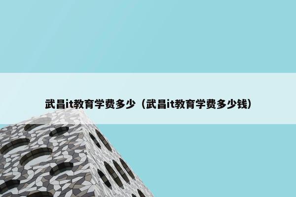 武昌it教育学费多少（武昌it教育学费多少钱）
