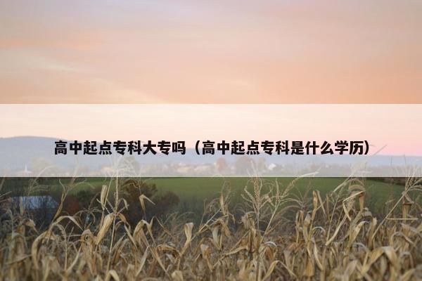 高中起点专科大专吗（高中起点专科是什么学历）