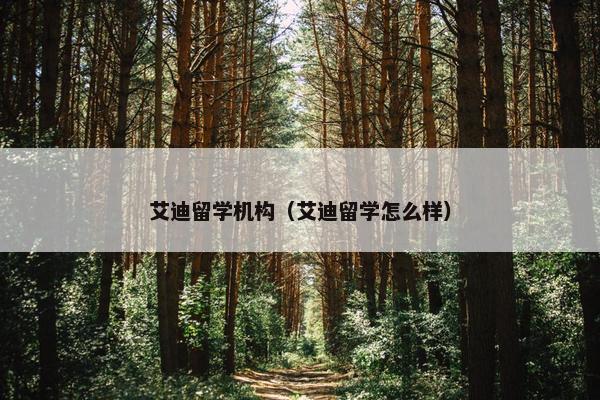 艾迪留学机构（艾迪留学怎么样）