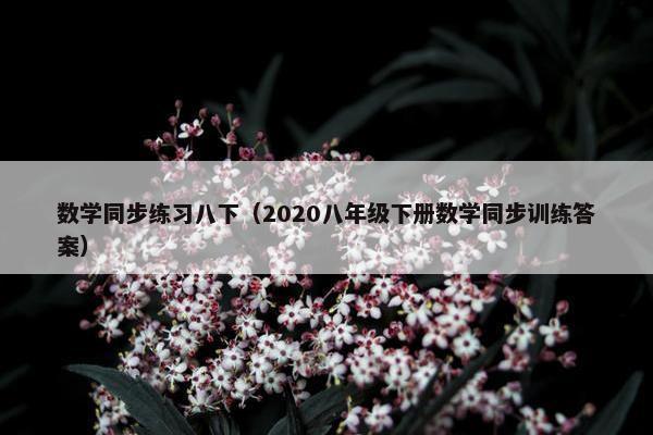 数学同步练习八下（2020八年级下册数学同步训练答案）