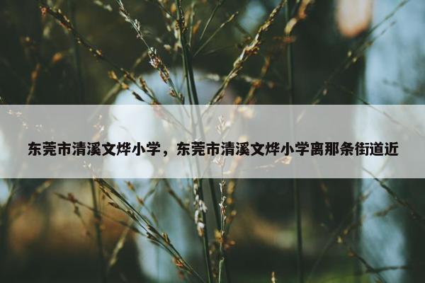 东莞市清溪文烨小学，东莞市清溪文烨小学离那条街道近