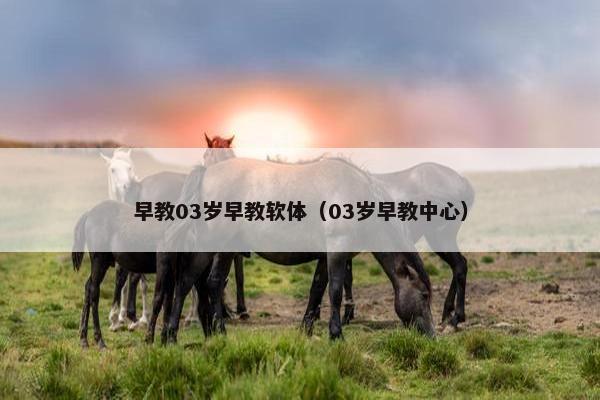 早教03岁早教软体（03岁早教中心）