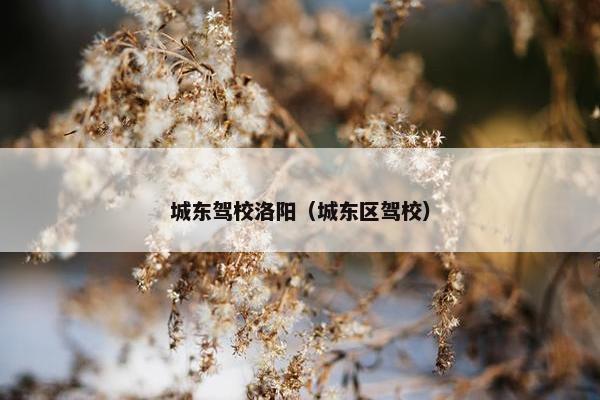 城东驾校洛阳（城东区驾校）