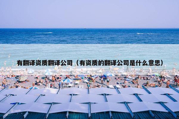 有翻译资质翻译公司（有资质的翻译公司是什么意思）
