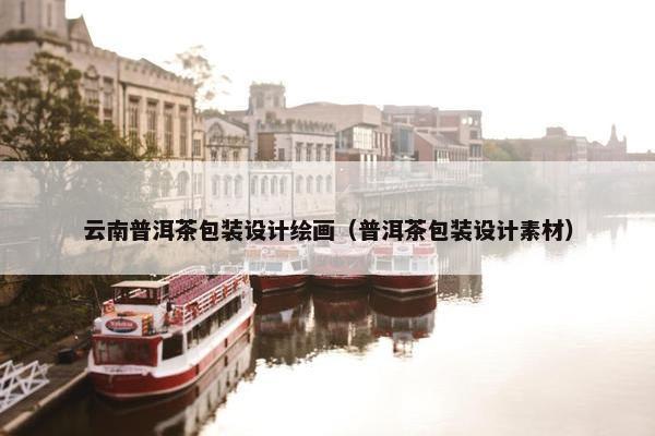 云南普洱茶包装设计绘画（普洱茶包装设计素材）