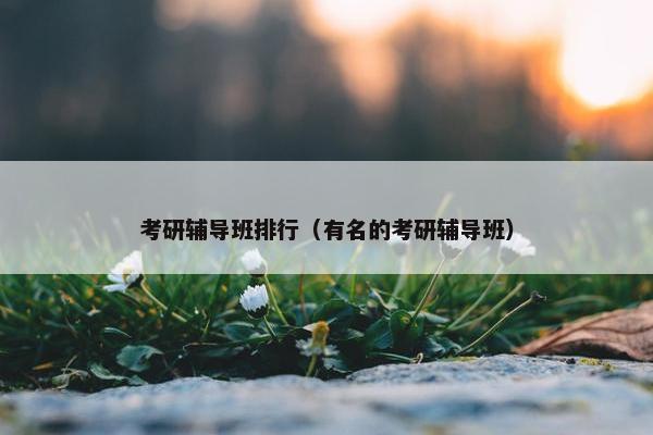 考研辅导班排行（有名的考研辅导班）