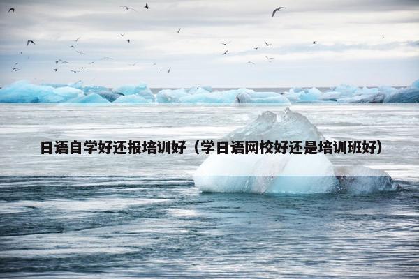 日语自学好还报培训好（学日语网校好还是培训班好）