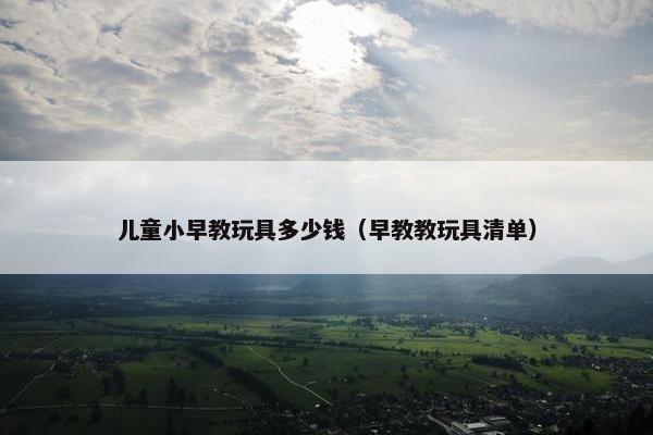 儿童小早教玩具多少钱（早教教玩具清单）