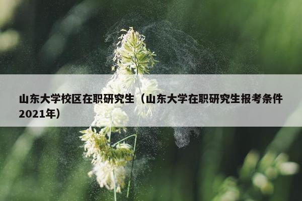 山东大学校区在职研究生（山东大学在职研究生报考条件2021年）