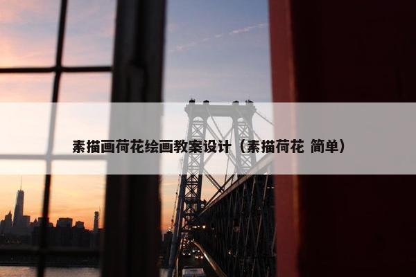 素描画荷花绘画教案设计（素描荷花 简单）