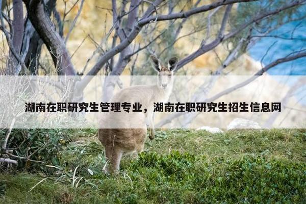 湖南在职研究生管理专业，湖南在职研究生招生信息网