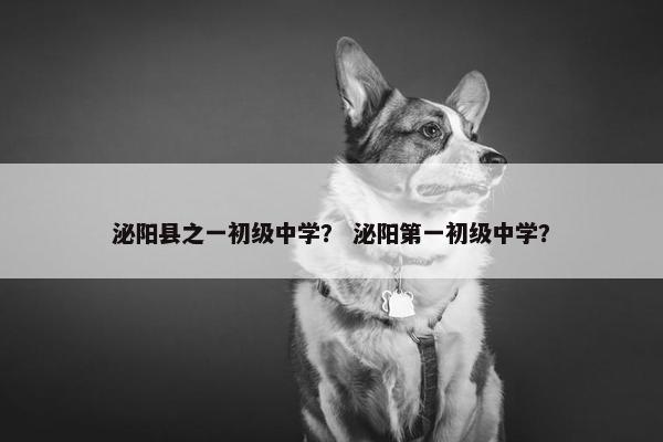 泌阳县之一初级中学？ 泌阳第一初级中学？