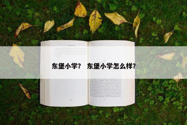 东堡小学？ 东堡小学怎么样？