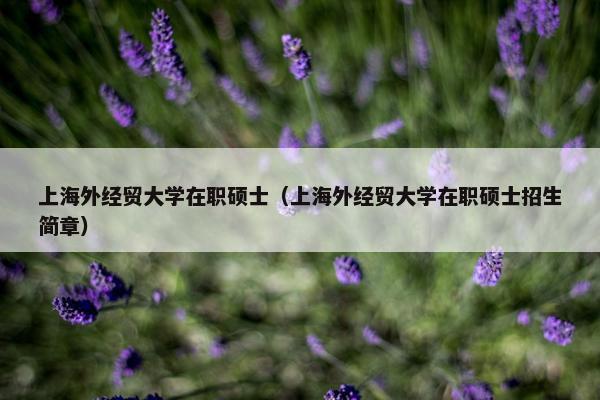 上海外经贸大学在职硕士（上海外经贸大学在职硕士招生简章）